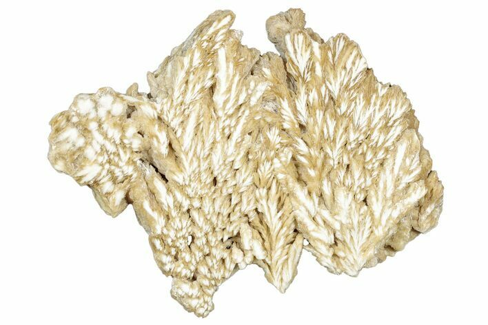 Polished Barite Slab - Lubin Mine, Poland #302398